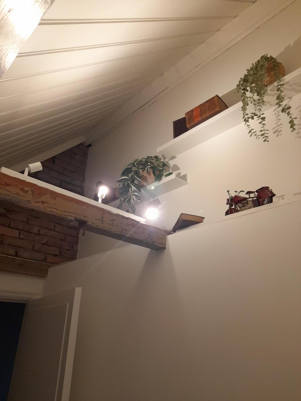 Vakantiehuis New Woodys Rust Aan De Zeeuwse Kust