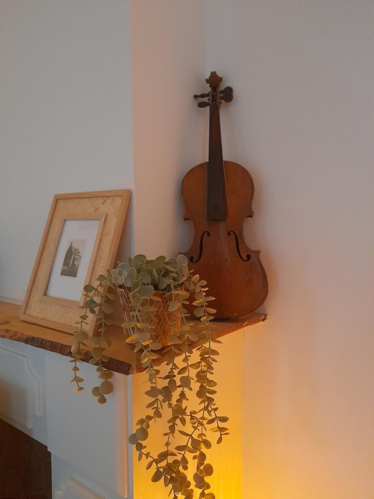 Vakantiehuis New Woodys Rust Aan De Zeeuwse Kust *